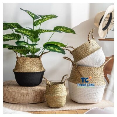 Luxury Seagrass Planter Basket Wholesale Supply For Zurich Interiors - TCPL 20W