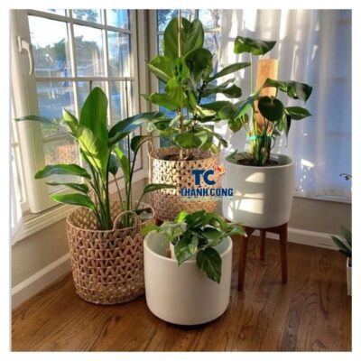 New planter basket (22)