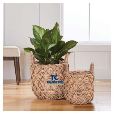 New planter basket (60)