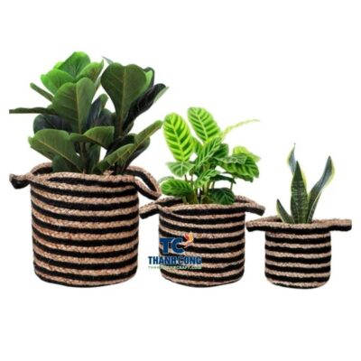 New planter basket (62)