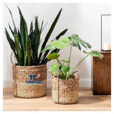 New planter basket (67)