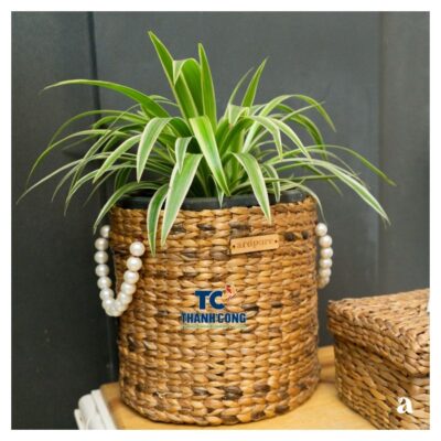 New planter basket (70)