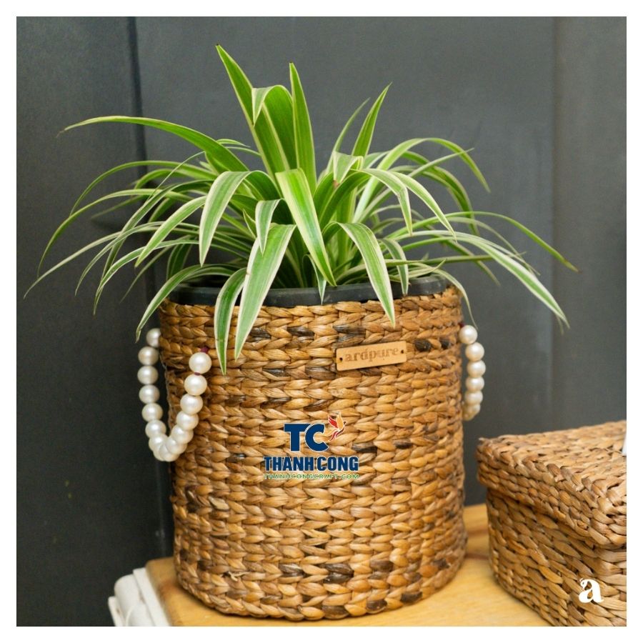 New planter basket (70)