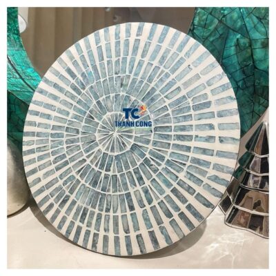 mother of pearl placemat (29)