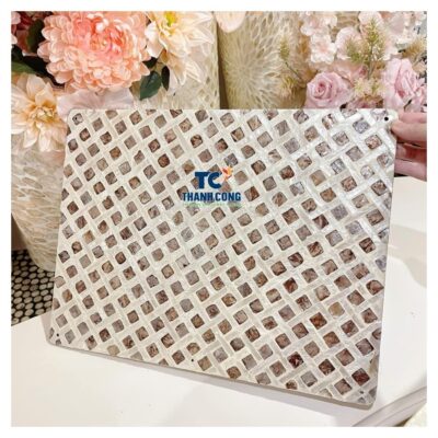 mother of pearl placemat (35)