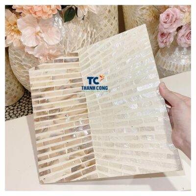 mother of pearl placemat (38)