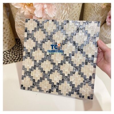 mother of pearl placemat (40)