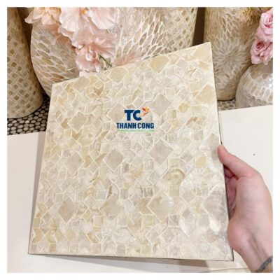 mother of pearl placemat (41)