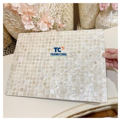 mother of pearl placemat (51)