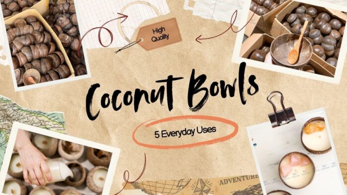 5 Everyday Uses of Coconut Bowls You Haven’t Thought Of Yet