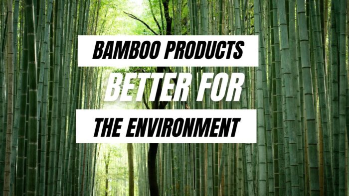 Are Bamboo Products Better for The Environment