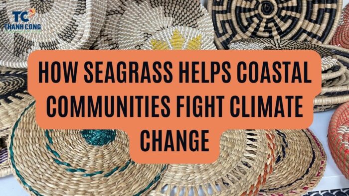 How Seagrass Helps Coastal Communities Fight Climate Change
