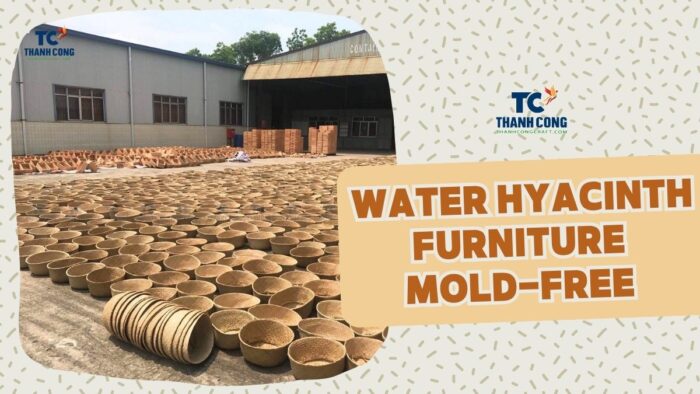 How to Keep Water Hyacinth Furniture Mold-Free Naturally