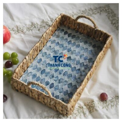 Mother pearl serving tray (14)