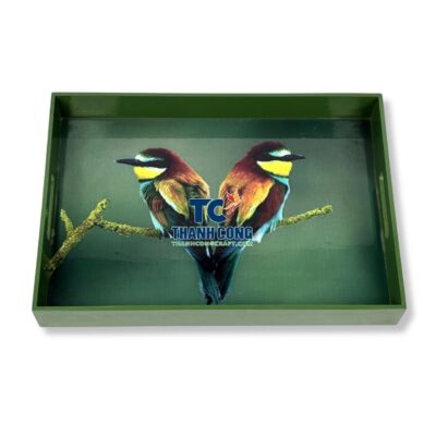 new lacquer tray (26)