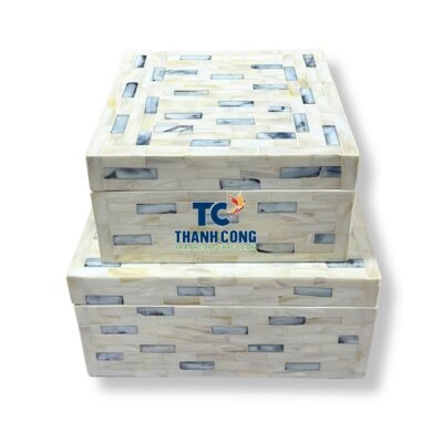 mother of pearl box (11)