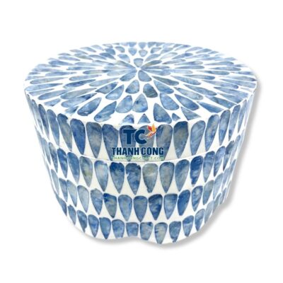 mother of pearl box (4)