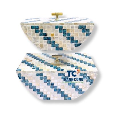 mother of pearl box (7)