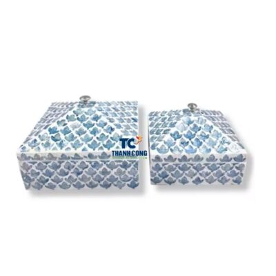 mother of pearl new box (19)