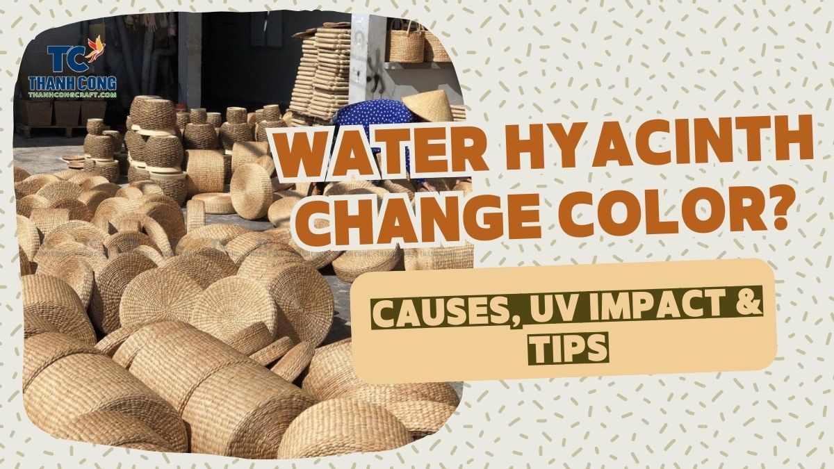 Does Water Hyacinth Change Color