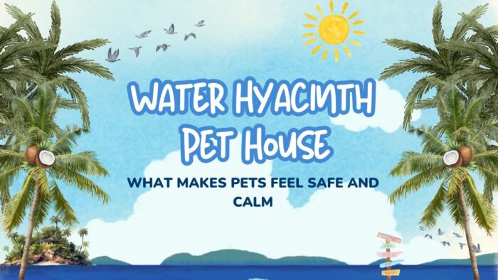 Water-Hyacinth-Pet-House_-What-Makes-Pets-Feel-Safe-and-Calm