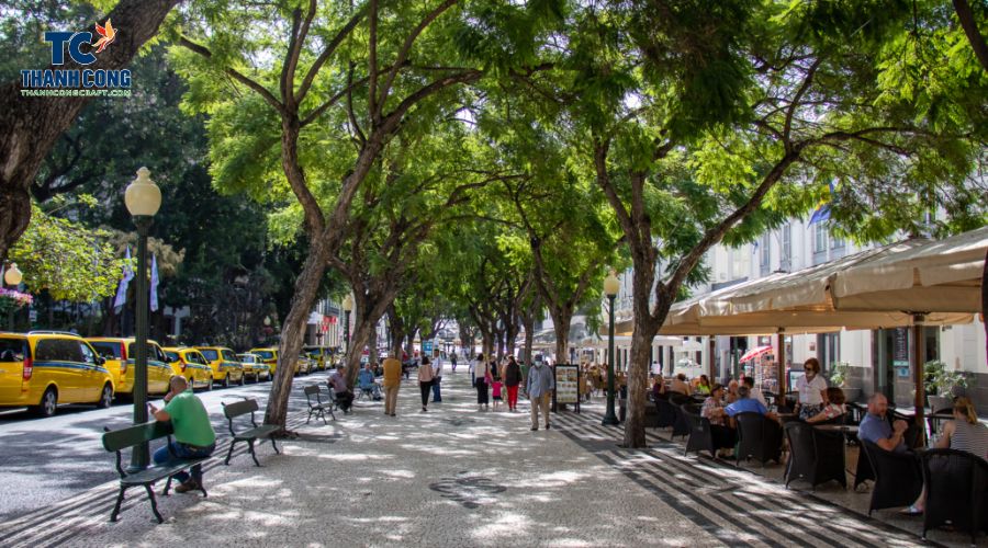 Avenida Arriaga - Shopping Streets In Funchal