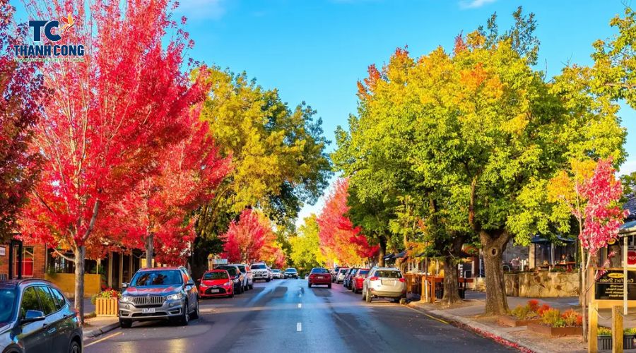 Hahndorf - South Australia Souvenir Shop