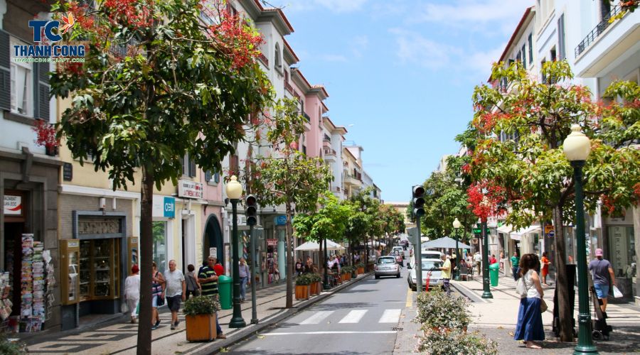 Rua Fernão de Ornelas - Shopping Streets In Funchal