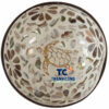 Natural Style Mother Of Pearl Coconut Bowl Wholesale For Eco Shops - TCLCB 8934W