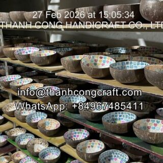 mother of pearl coconut bowl