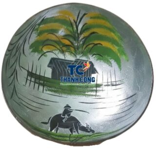 Premium Lacquer Coconut Bowl Bulk Supply Tenerife Hotels - TCLCB 8720W