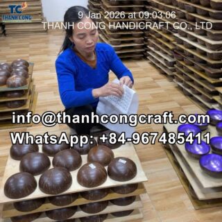 manufacture mop coconut bowl
