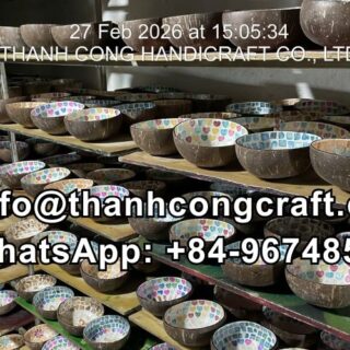 manufacturer mop coconnut bowl 4