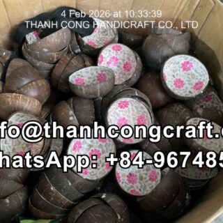 mother of pearl coconut bowl