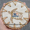 Sustainable Mother Of Pearl Coaster Buy In Bulk For Eco Shops- TCRMC 8759W