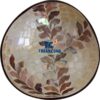 Eye Catching Mother Of Pearl Coconut Bowl For Fiji Decor - TCLCB 8944W