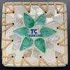 Elegant Mother Of Pearl Coaster Bulk Supply Tenerife Table Use - TCRMC 8757W