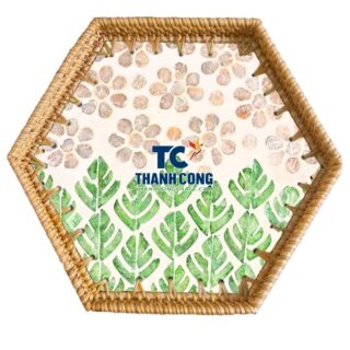 Luxury Mother Of Pearl Tray Fuerteventura Export Supply - TCRMT 8830W