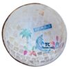 mother of pearl coconut bowl wholesale (15)