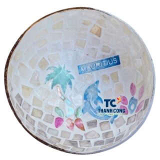 mother of pearl coconut bowl wholesale (15)