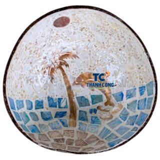 mother of pearl coconut bowl wholesale (21)