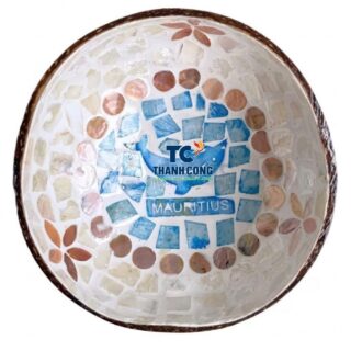 mother of pearl coconut bowl wholesale (23)