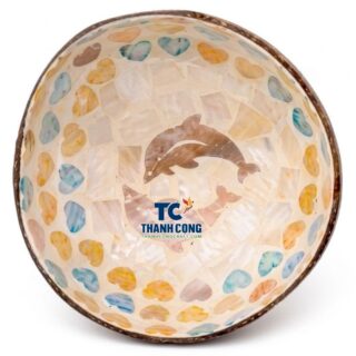 mother of pearl coconut bowl wholesale (25)