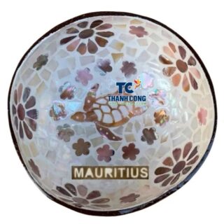 mother of pearl coconut bowl wholesale (27)