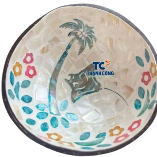 mother of pearl coconut bowl wholesale (30)