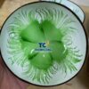 Bulk Emerald Green Coconut Bowls TCLCB 8661W