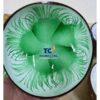 Bulk Green Feather Coconut Shell Bowls TCLCB 8659W