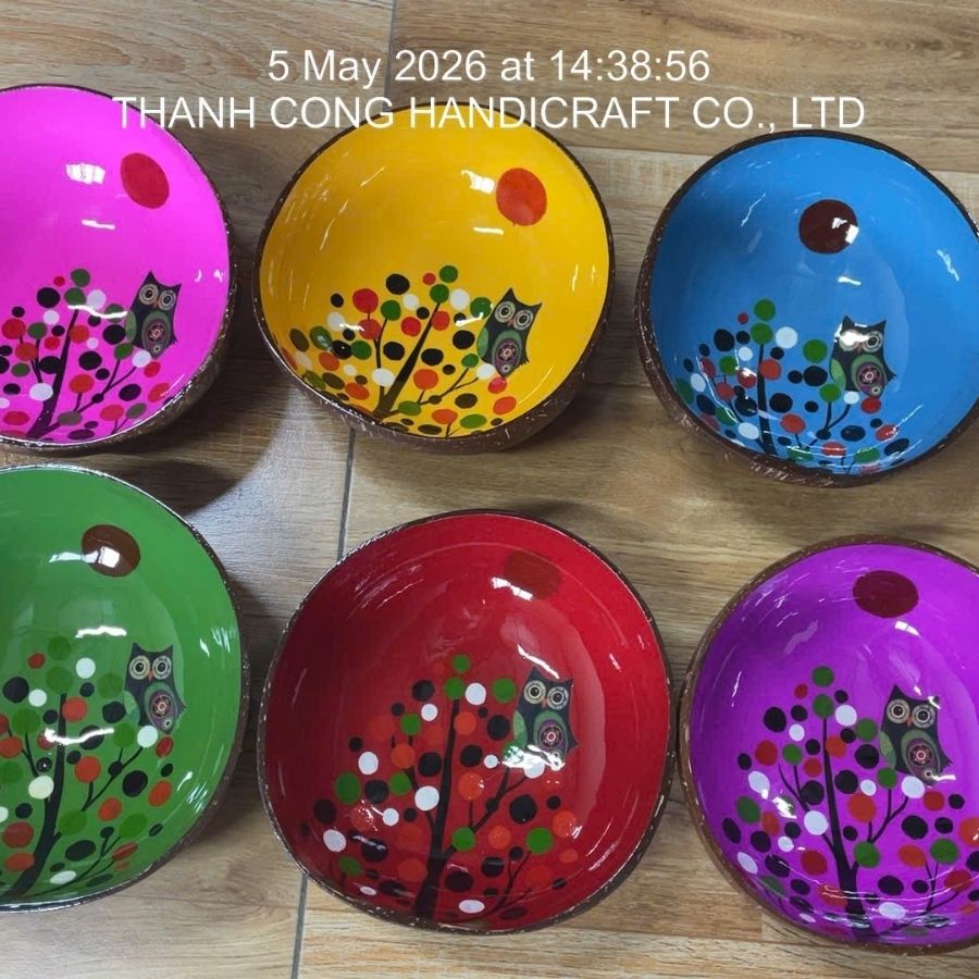 Bulk Wholesale Colorful Owl Coconut Bowls
