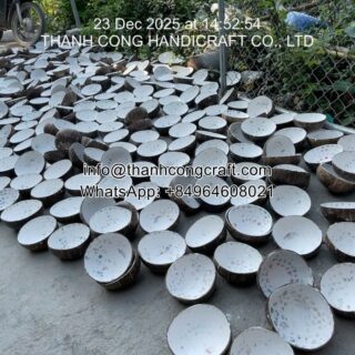 Large stock of eco friendly coconut bowls for wholesale distributors