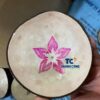 Pink Blossom Mother of Pearl Coconut Bowl Direct Wholesale Source